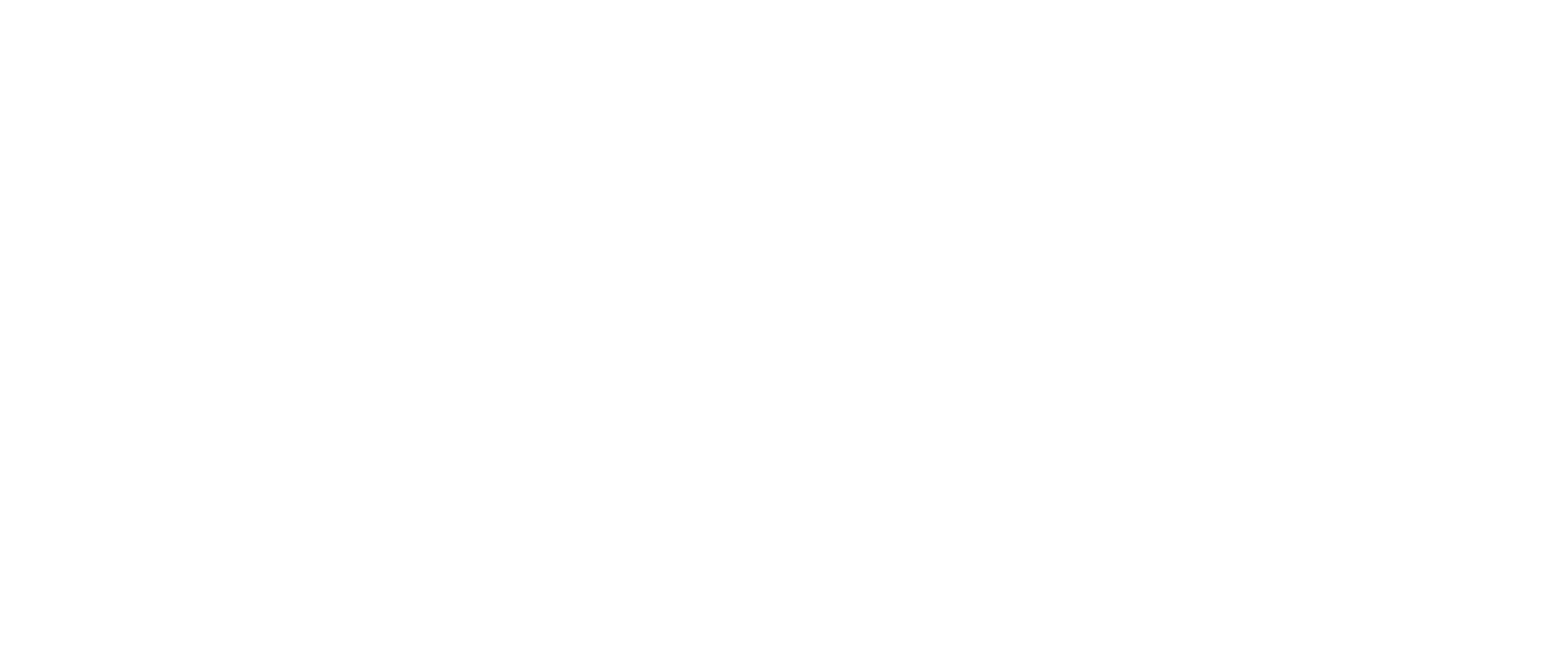 logo-metalco-prolians